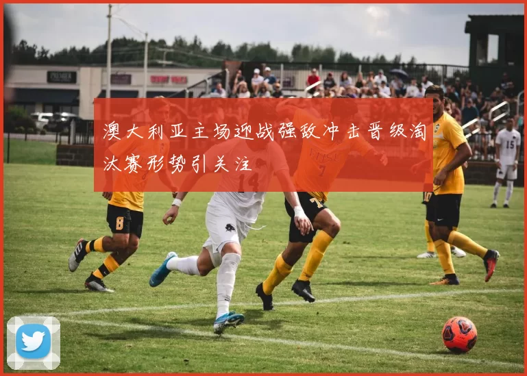 澳大利亚主场迎战强敌冲击晋级淘汰赛形势引关注