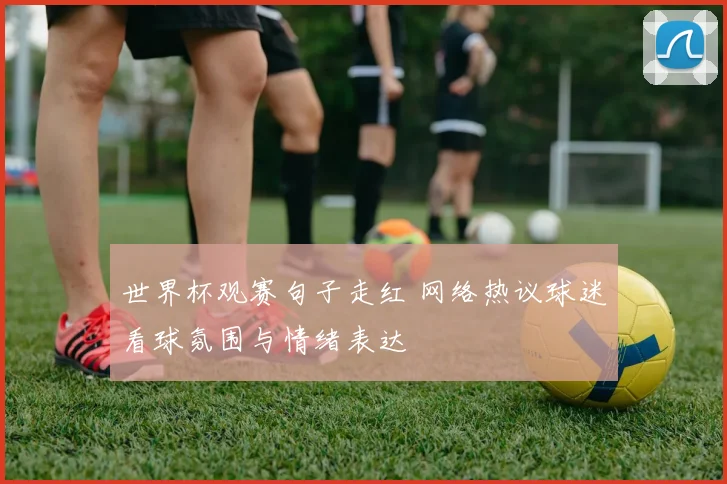 世界杯观赛句子走红 网络热议球迷看球氛围与情绪表达